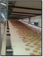 Cooling Conveyor