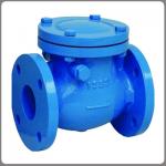  C.I.Check Valve