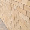 Acid Proof Bricks
